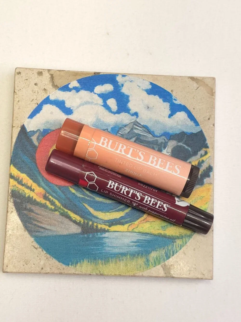 SEALED 2pc Burt's Bees Tinted Lip Balm and Lip Shimmer Set